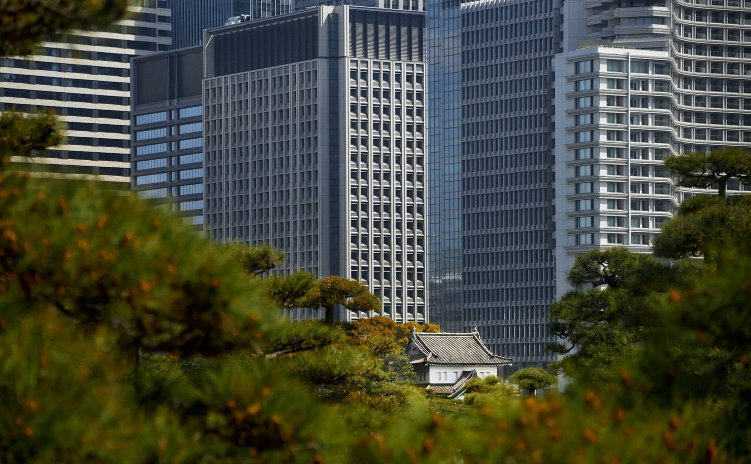 япония japan, Гиль Александр