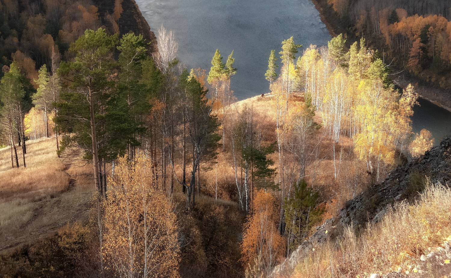 осень, манская петля, свет, березы, тропа, сибирь, Марина Фомина