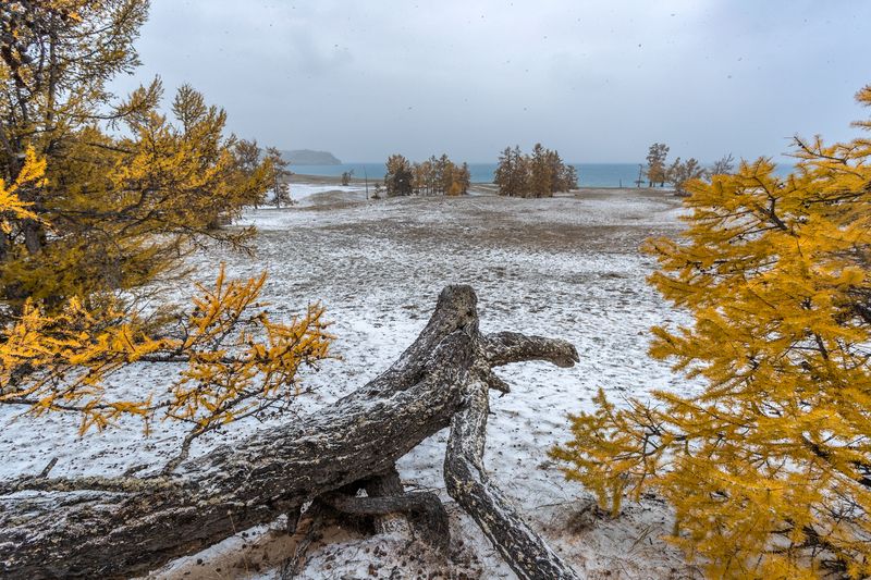 Ольхонские зарисовки. фото превью