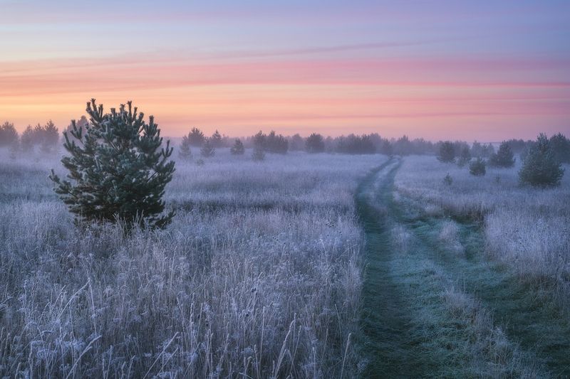 Утренний иней после заморозка фото превью
