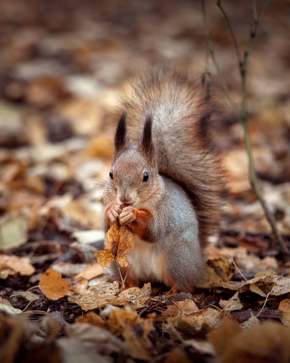, Завьялова Людмила!