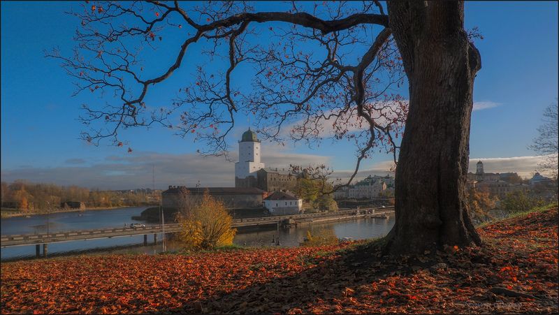 Осенний Выборг фото превью