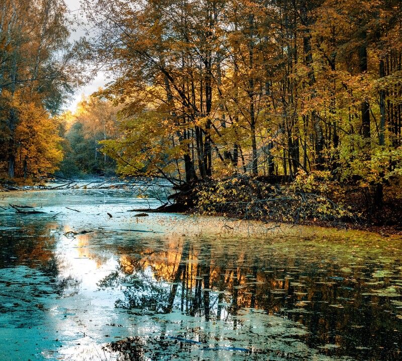 *** фото превью