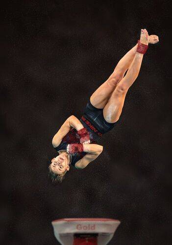 One and a Half Twist Dismount