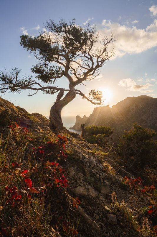 Живописный закат на горе Орёл фото превью