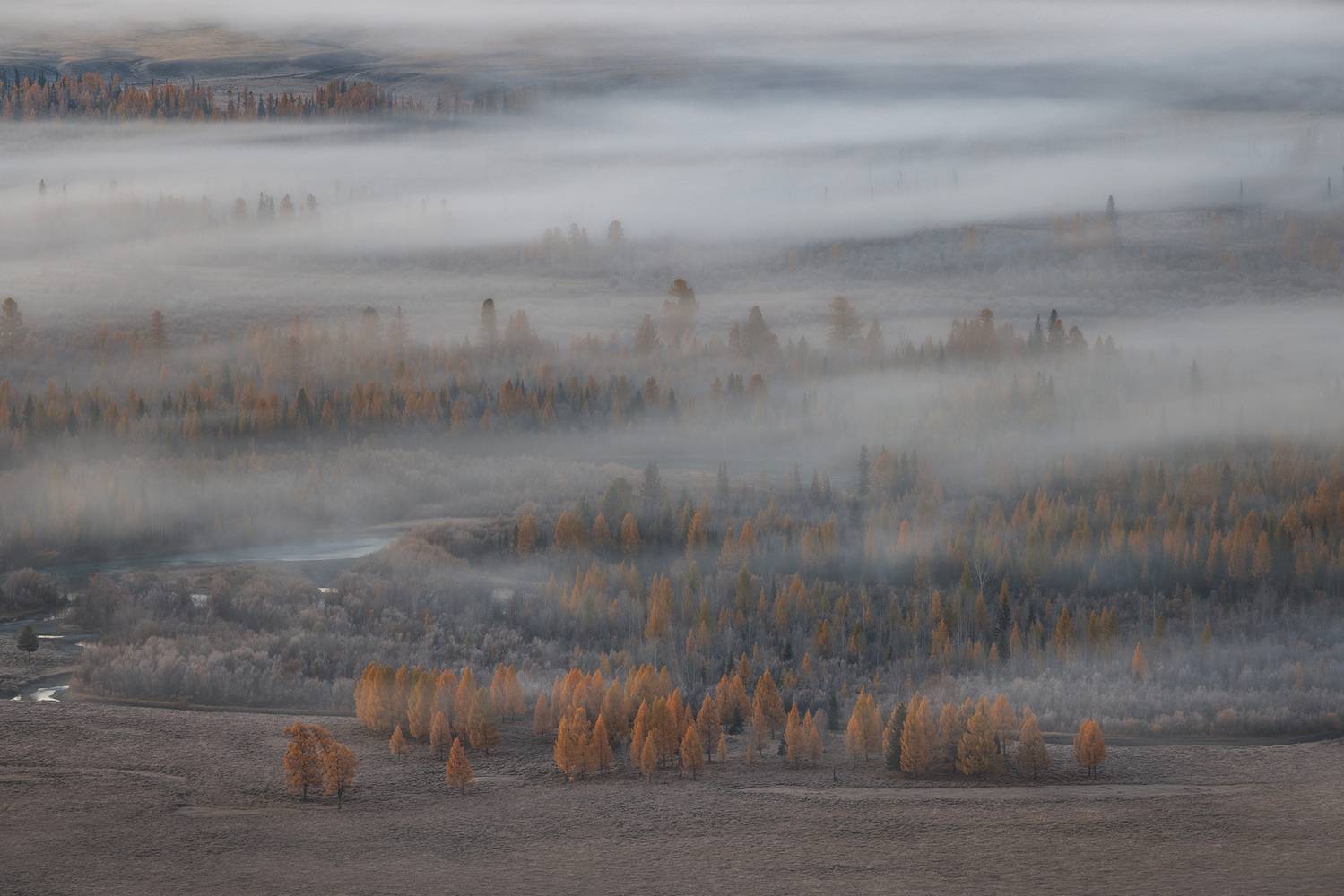 , Морозов Сергей