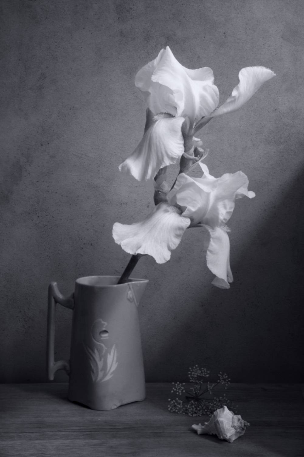 , Елена Колеснева