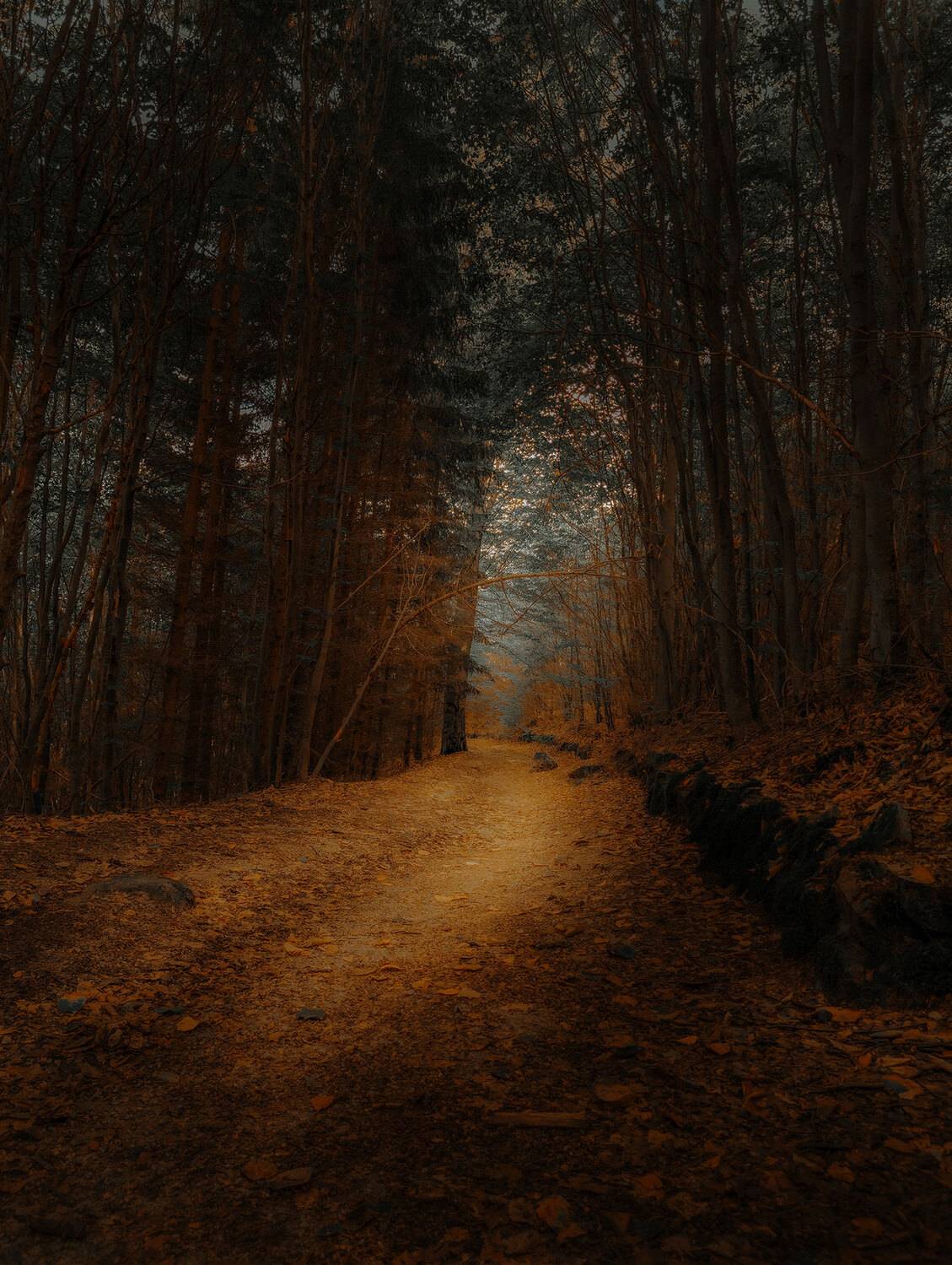 , Валерий Вторыгин