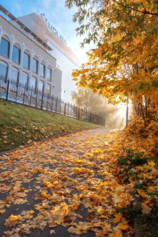 осень, листва, восход, город По улочкам родного города... фото превью