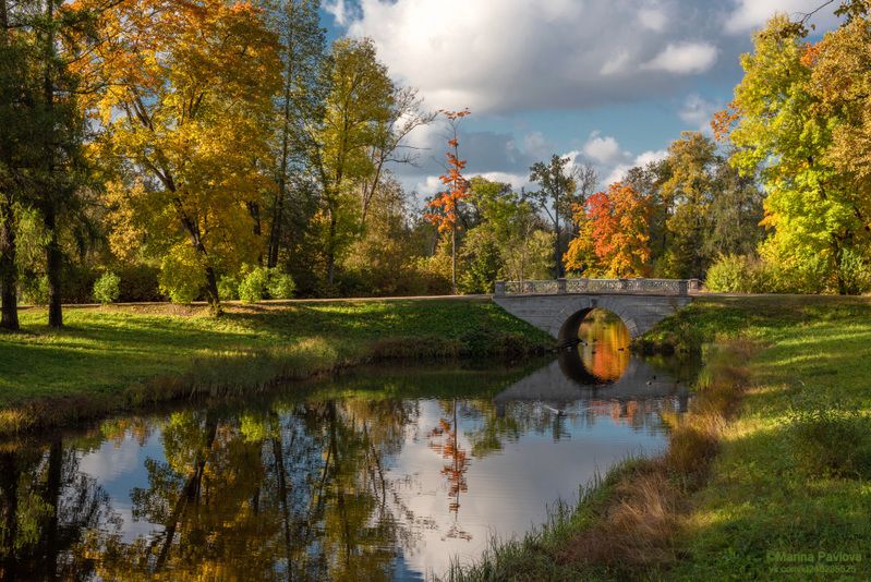 город пушкин, александровский парк, каменнный мост, осенний парк, осенние отражения, пейзаж, пригороды петербурга Осенний Александровский парк фото превью