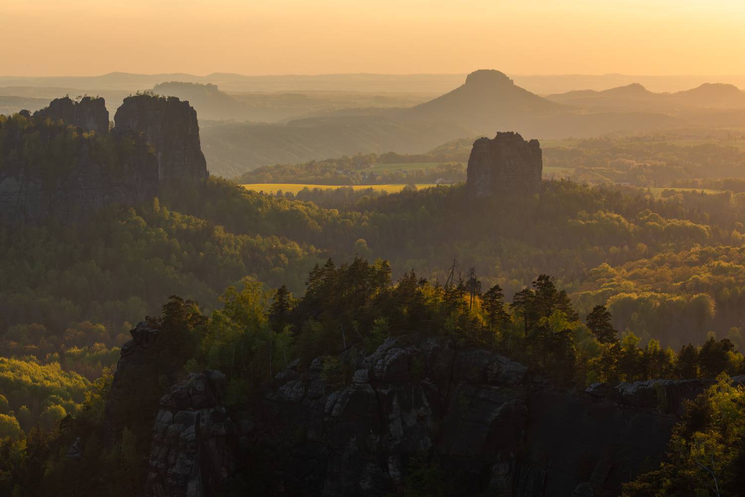 , Евгения Чех