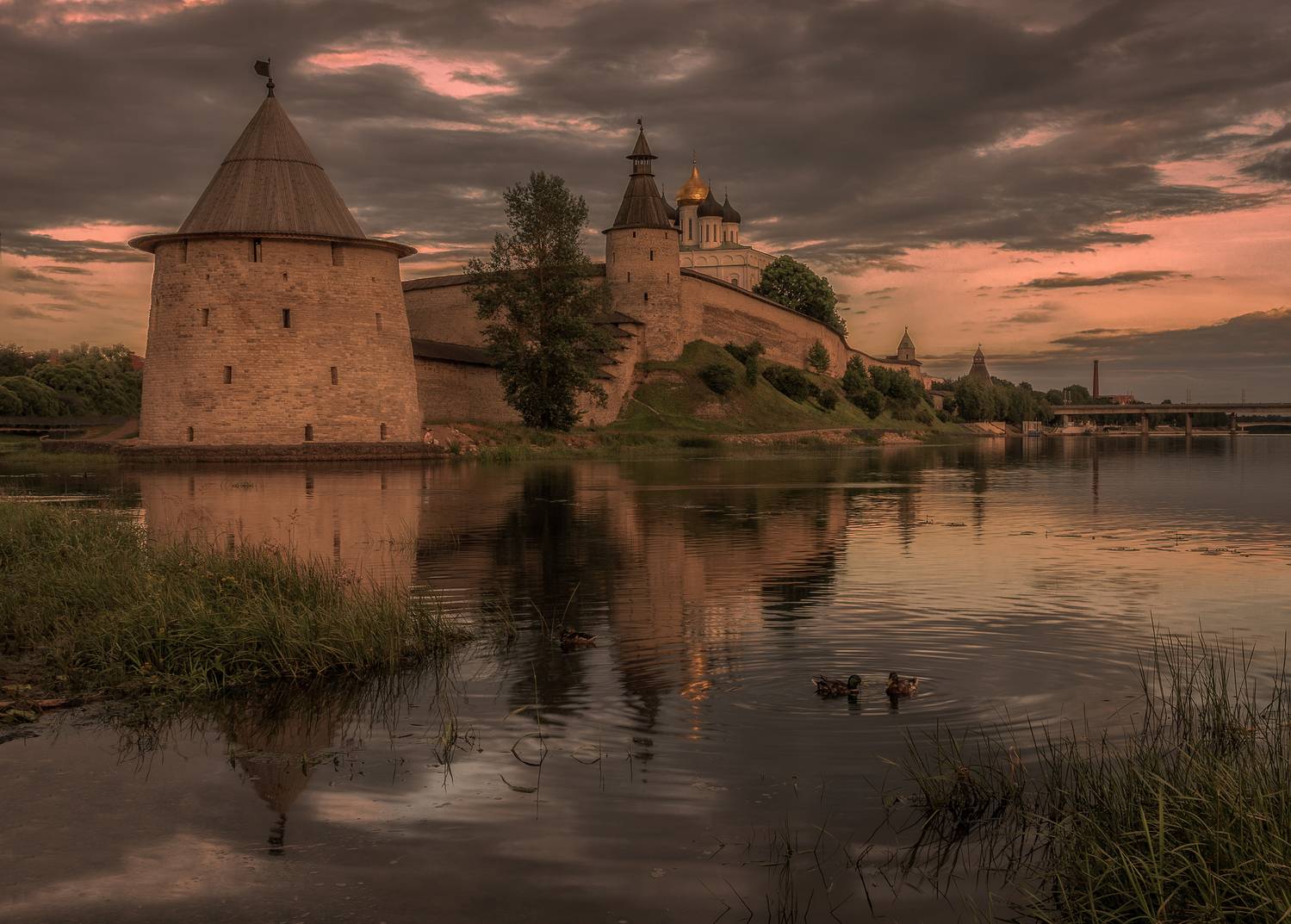 Псковская область, Гусева Елена