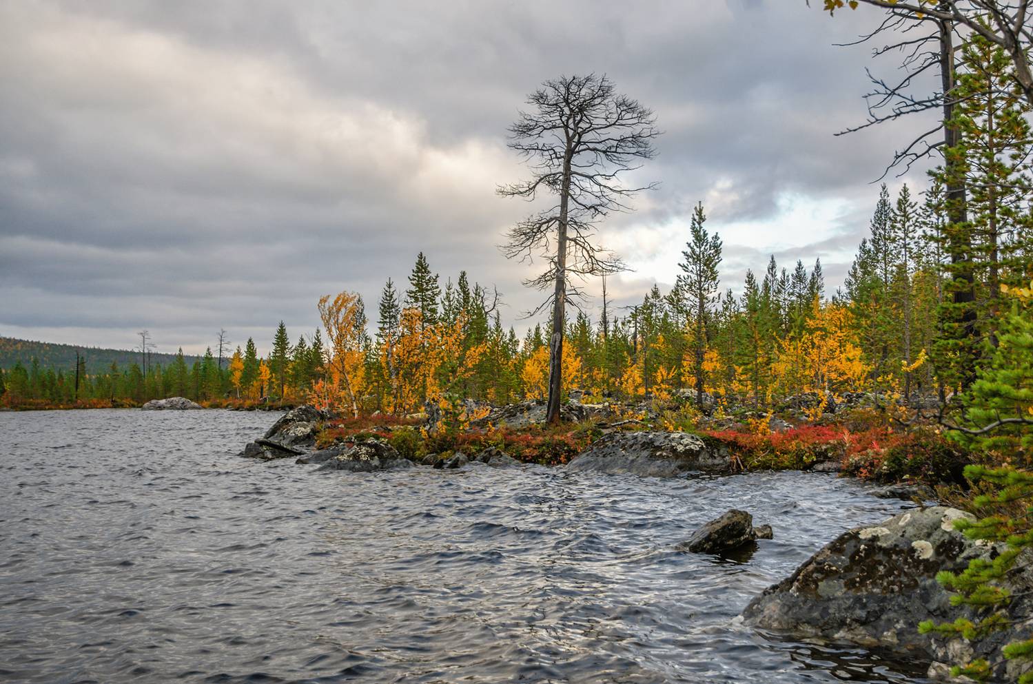 , Тихонов Сергей