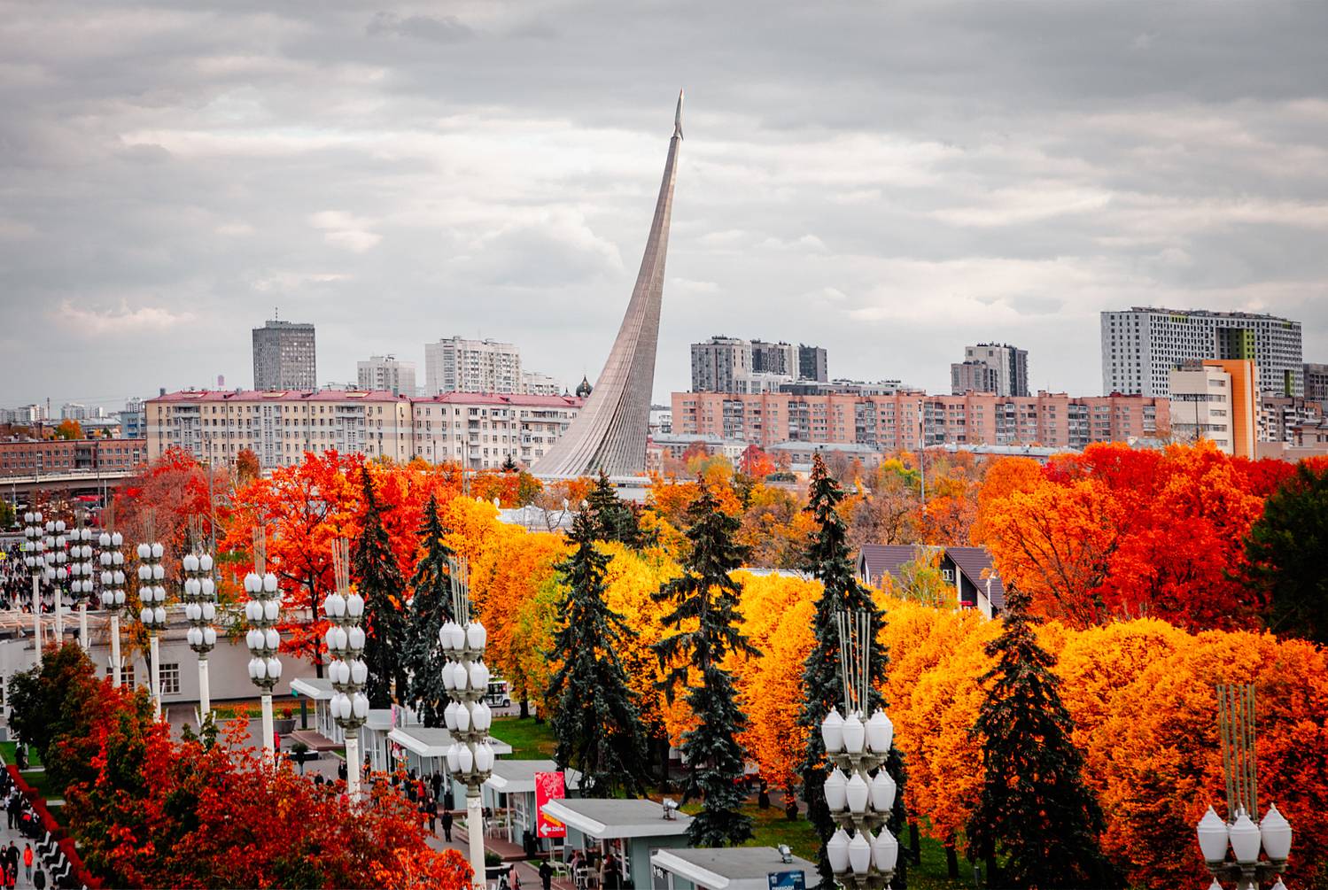 , Трепольский Дмитрий