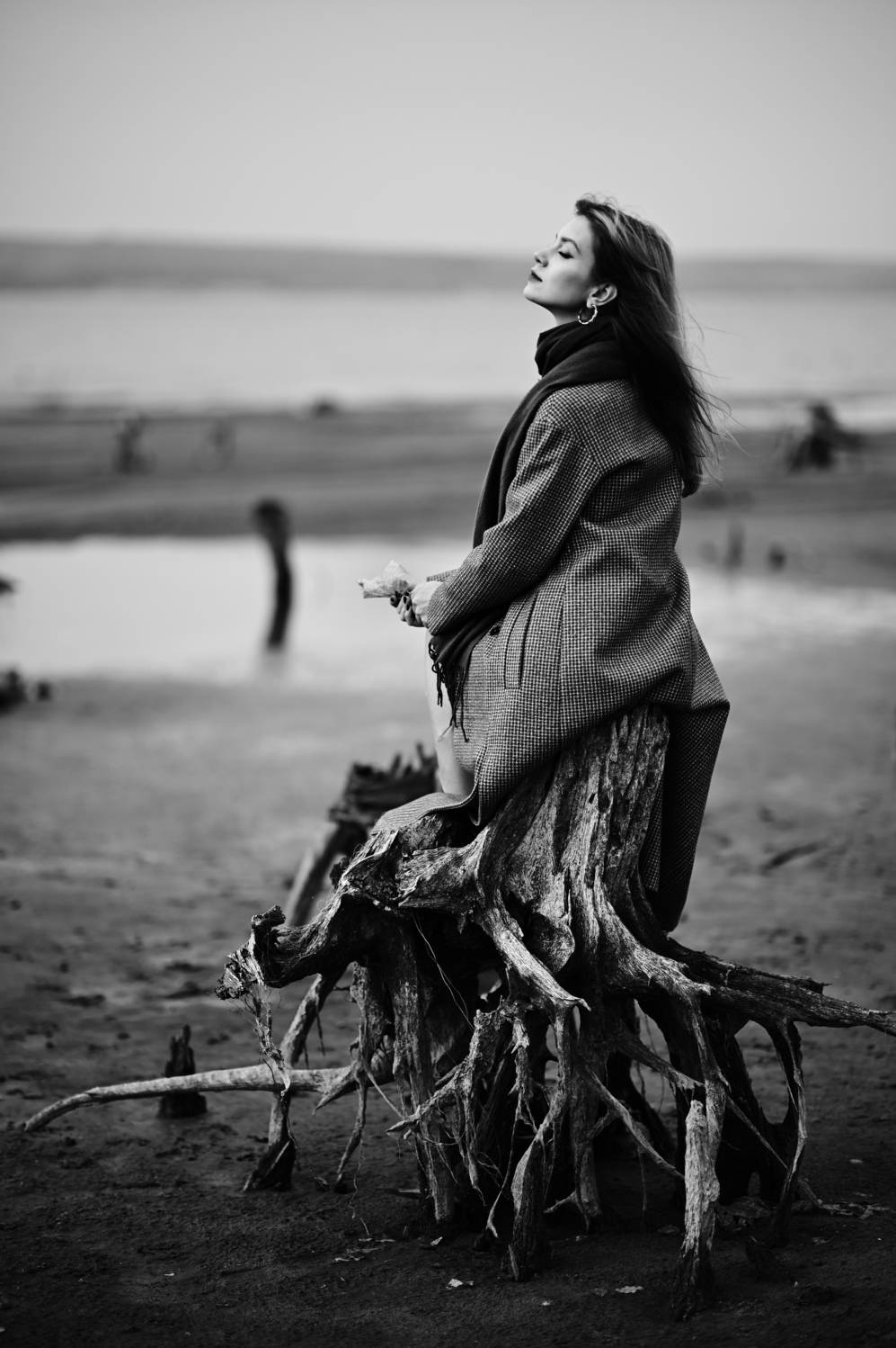 , Сергей Дужников