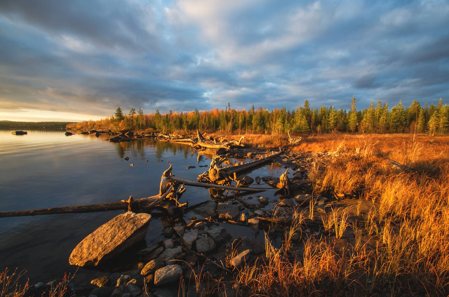 , Тихонов Сергей