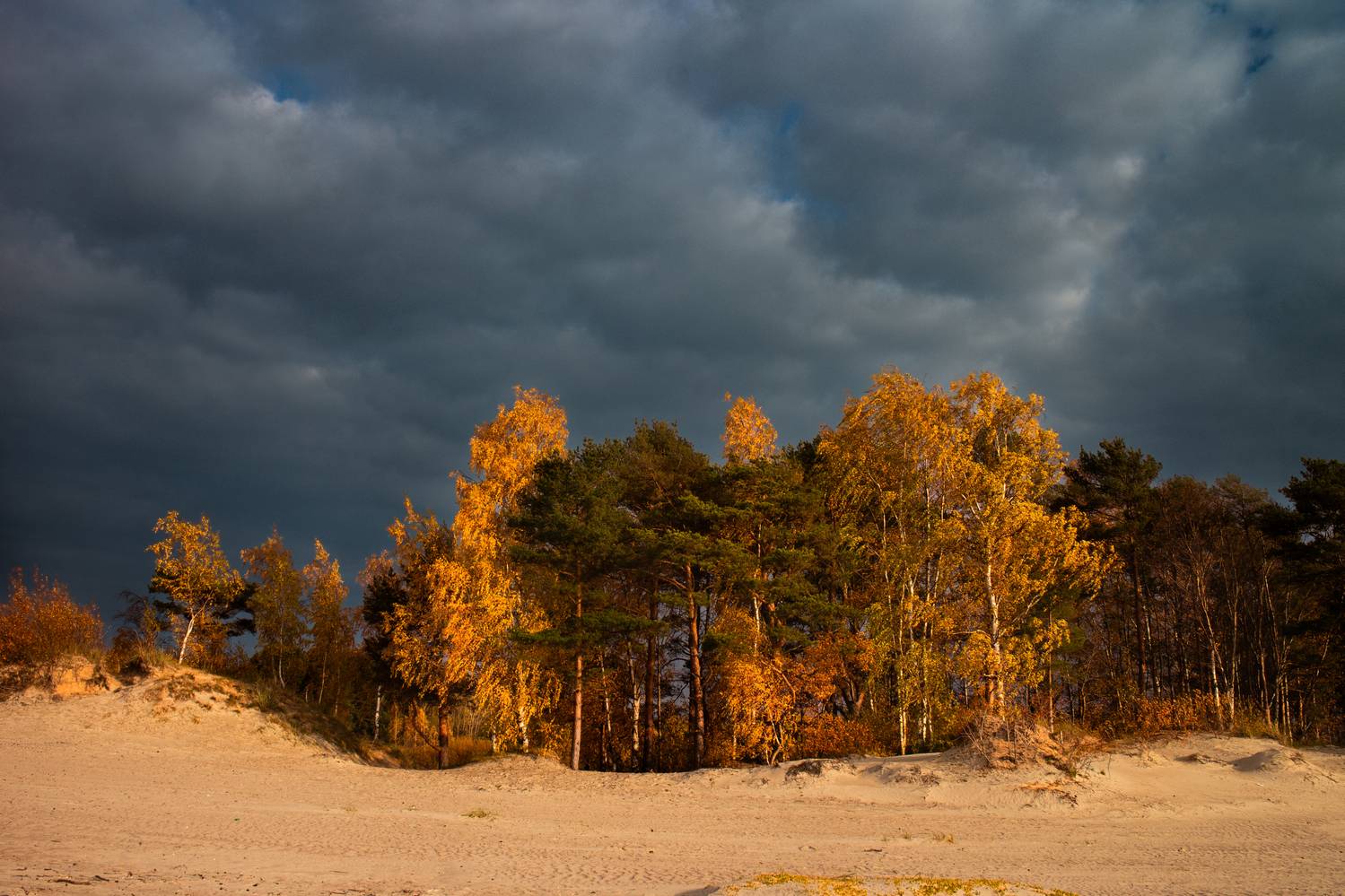 , Дьяченко Алёна