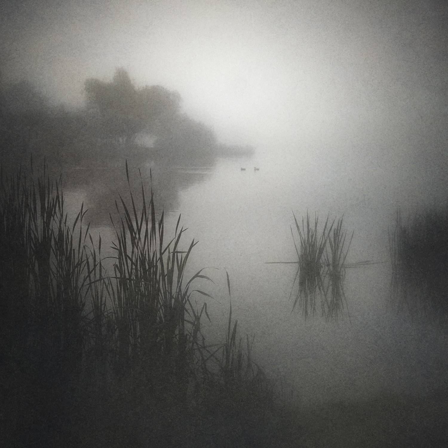 , Сергей Кот