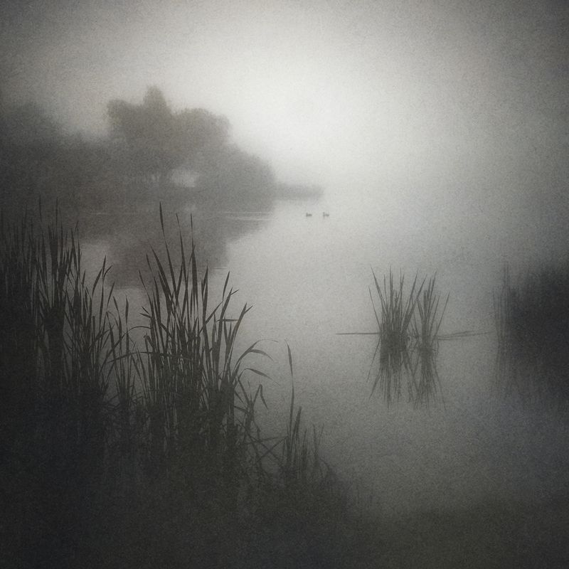 По эту сторону тумана. фото превью