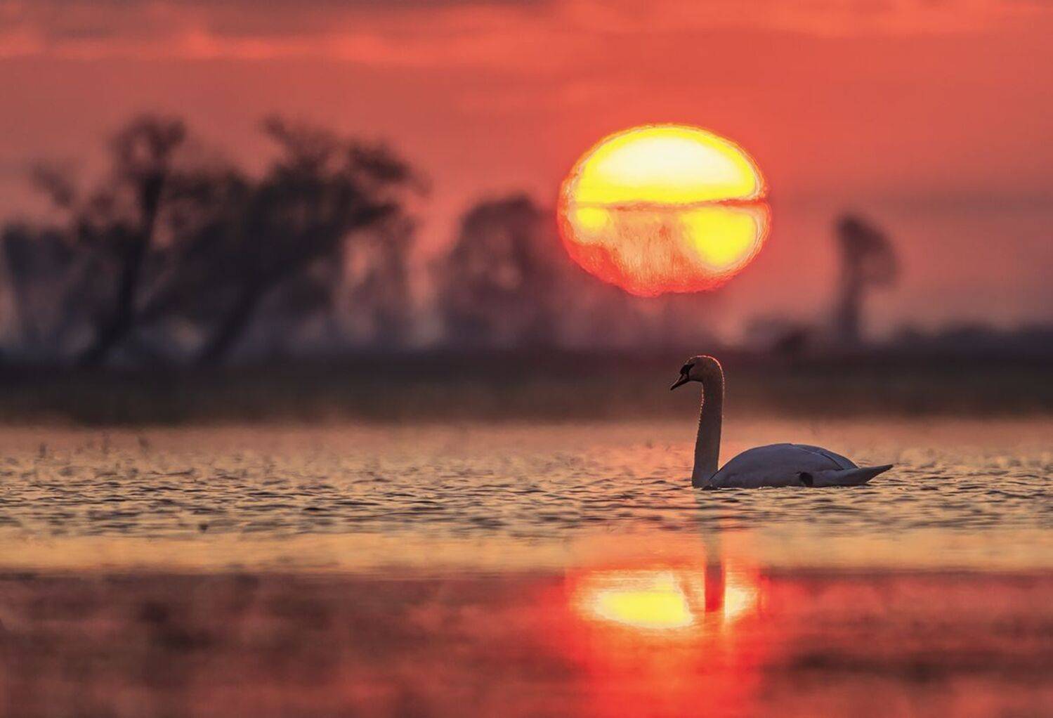 , Sławek Przybylski