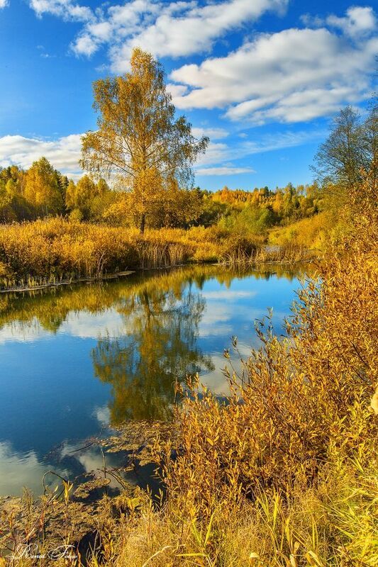 Костромской край. фото превью
