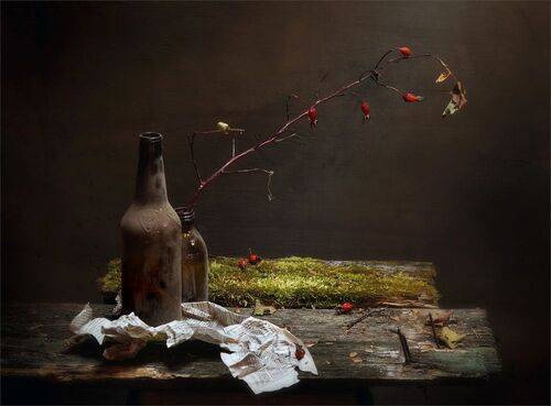 С шиповником