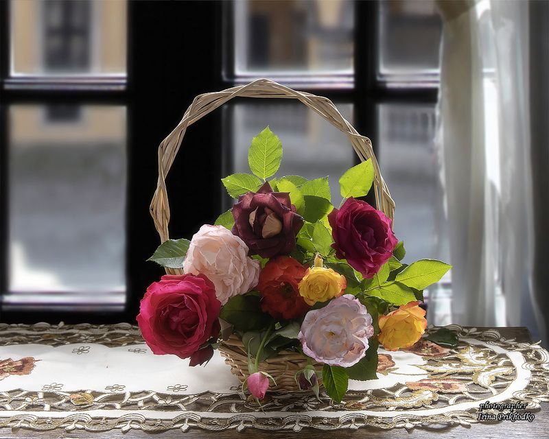 натюрморт, цветы, розы,  Натюрморт с розами у окна фото превью