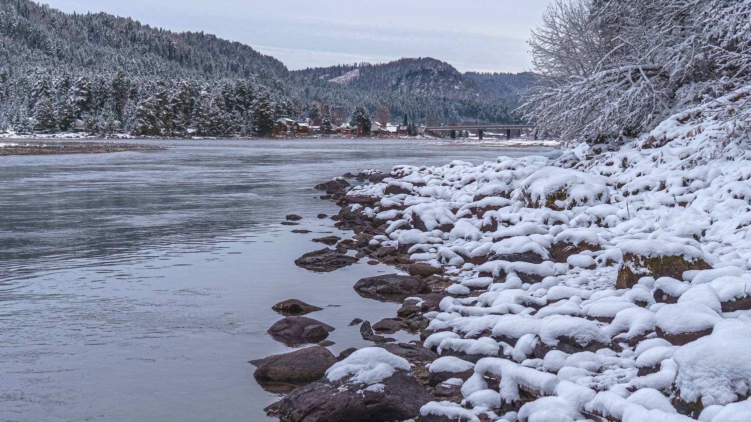 , Шварцман Евгений