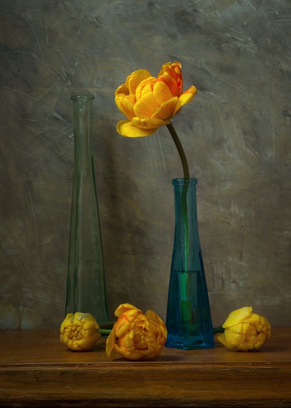 Жёлтые цветы. фото превью