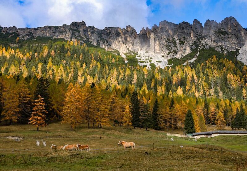 Осень в Доломитах фото превью