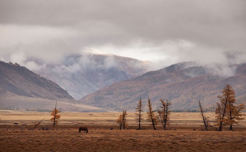 *** фото превью