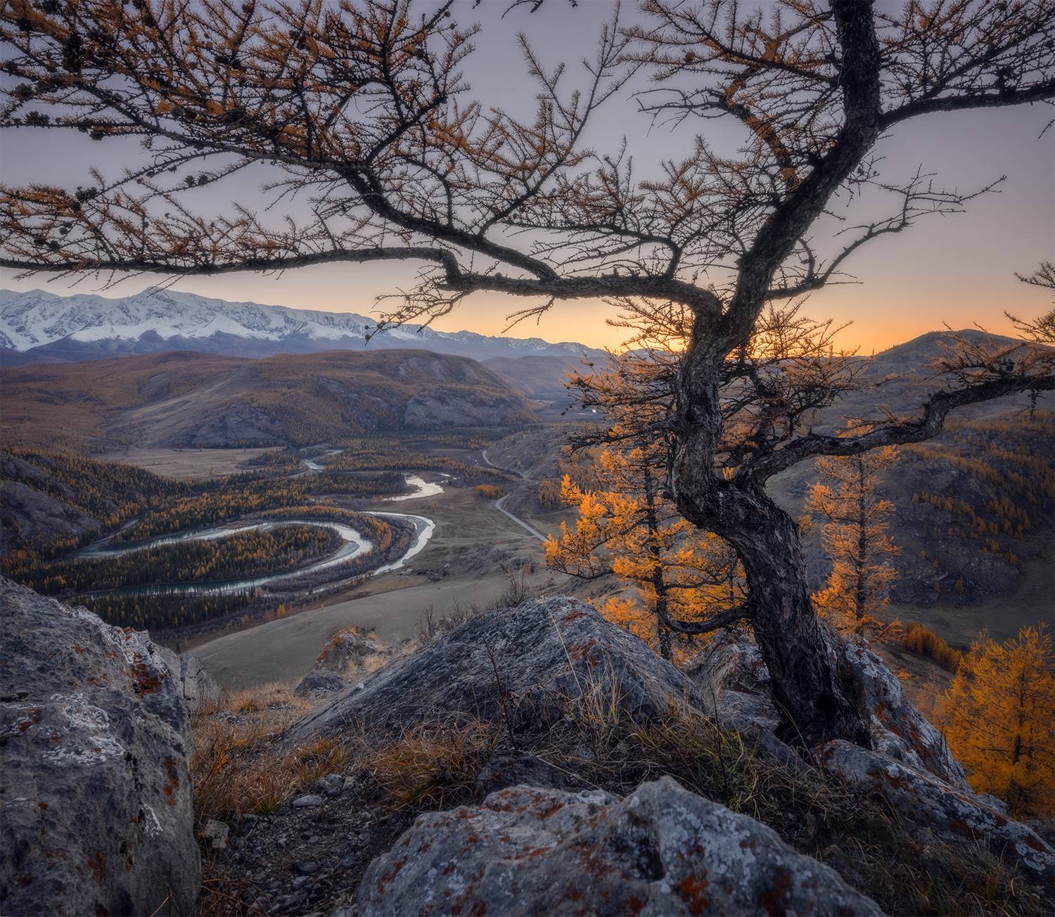 алтай, закат, горы, лиственница, камни, осень, Сергей Буторин