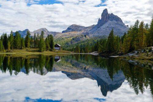 последние дыхание осени