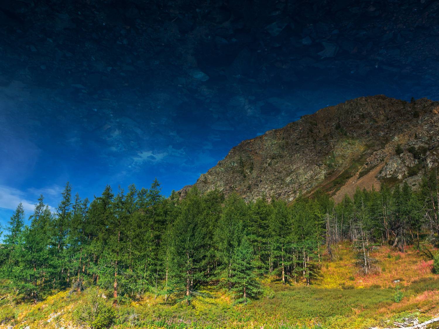 алтай, Станислав