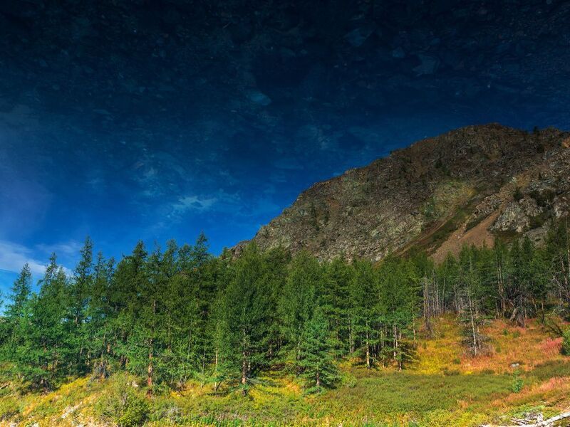алтай Отражение фото превью