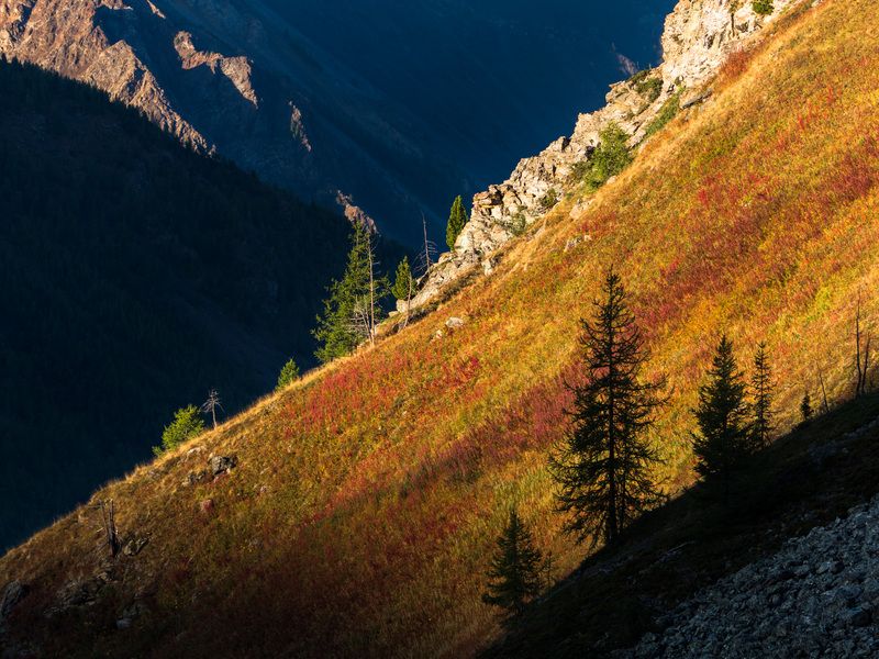 алтай, рассвет Рассвет фото превью
