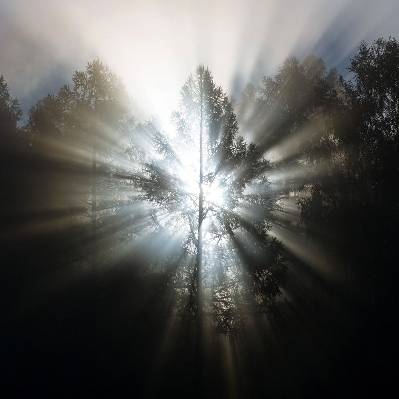 Утро фото превью