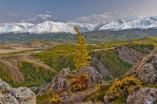 Краски осени