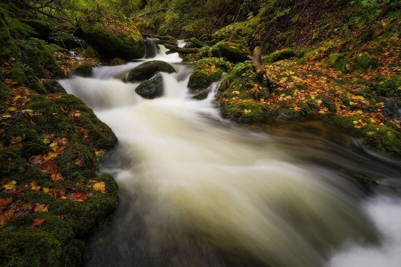 2025 фото превью