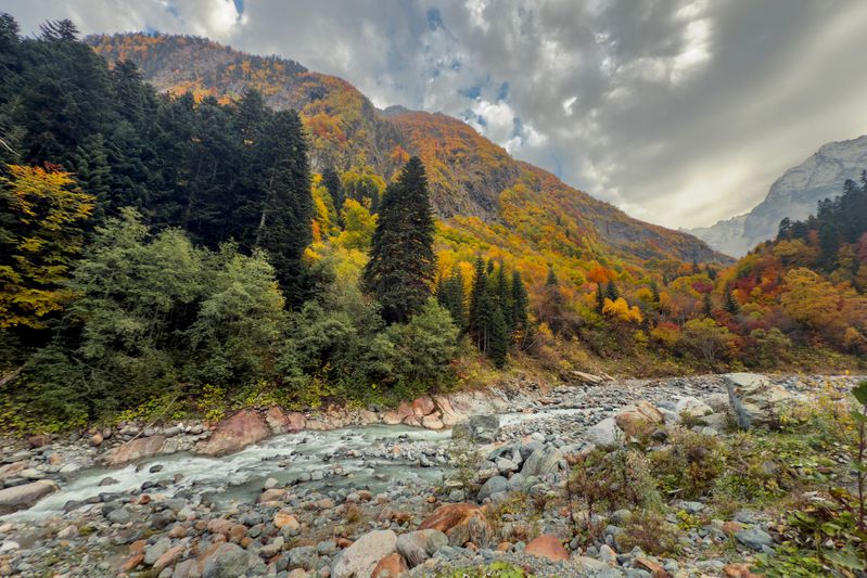 *** фото превью