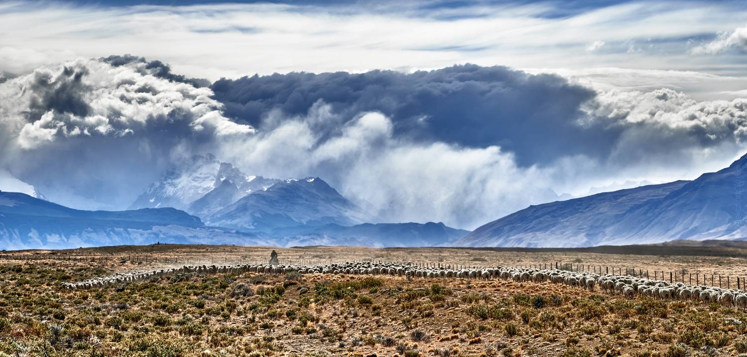 , Гиль Александр