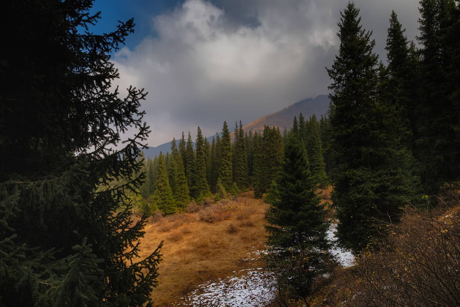 кыргызстан, шамшы, Элина Магалимова