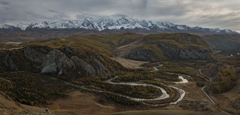 Чуя фото превью