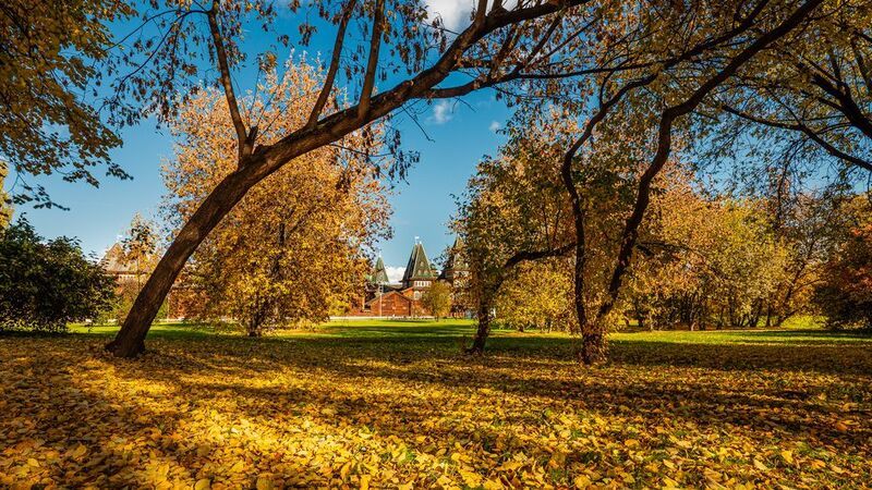 Парк, Осень, Коломенское, Листва, Москва Осень в парке фото превью