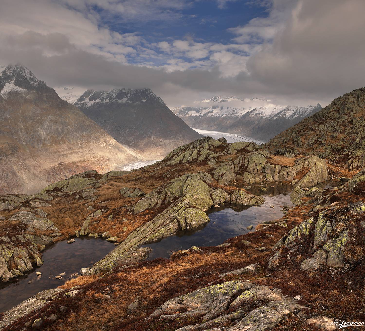 swiss, Матвеев Николай