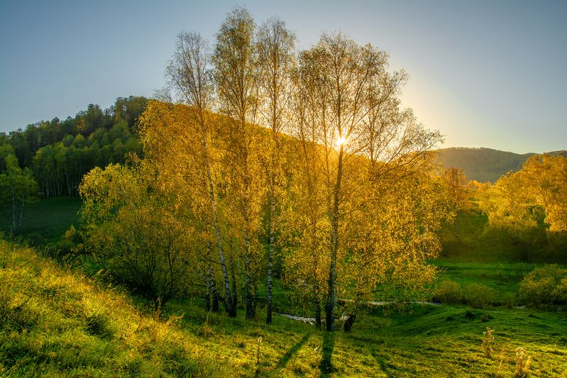 золотая осень Золото осени фото превью