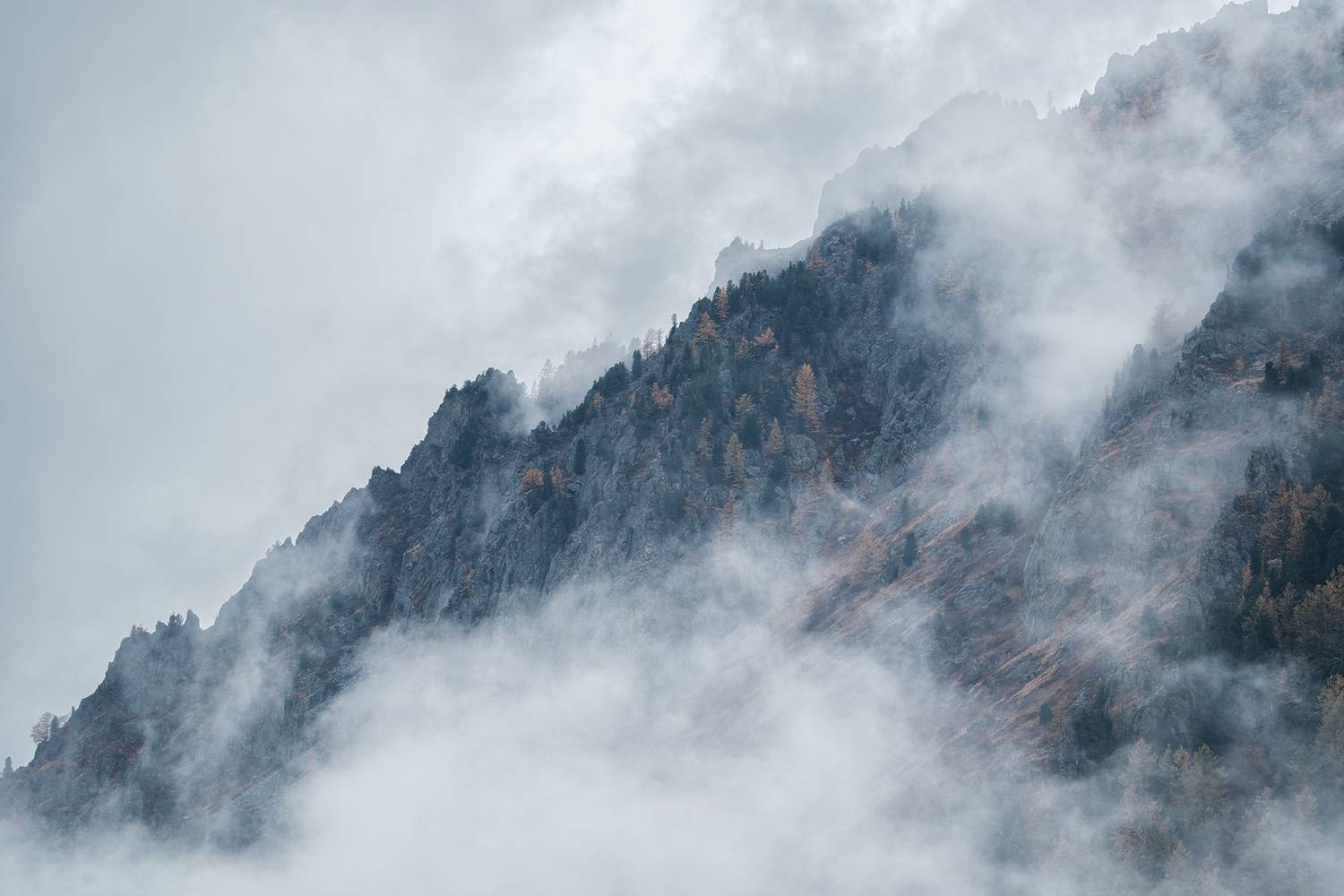 , Бодрягин Виталий