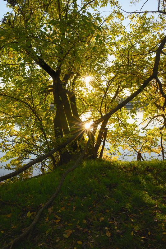 осень, лучи солнца Отражение луча солнца фото превью