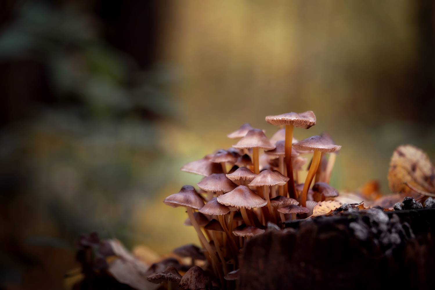 , Завьялова Людмила!