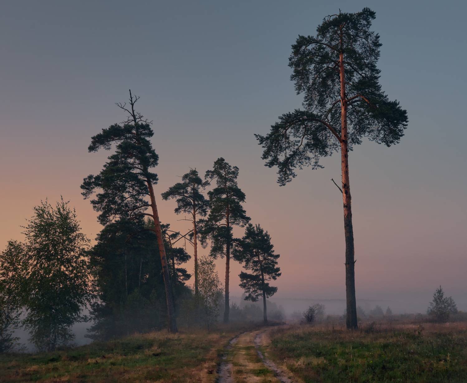 , Роман Лушпа